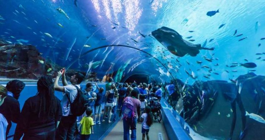 Istanbul Aquarium